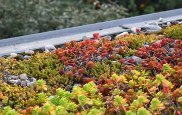 the cost of Talland green roof installation