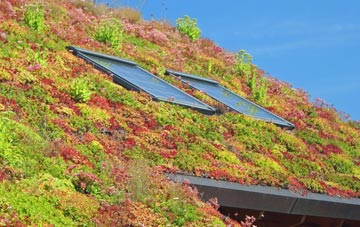Talland living roof systems
