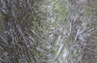 Talland fibreglass roof work